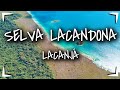 SELVA LACANDONA Chiapas 