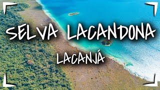 SELVA LACANDONA Chiapas 🔴 Visitando la laguna LACANJA con 2 mayas LACANDONES ► TOUR por la SELVA