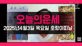 오늘의운세 2025년4월3일 목요일 호랑이띠날 오늘의운세 #오늘의운세 #운세