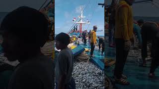 story nelayan Juwana | kapal Juwana Jawa Tengah