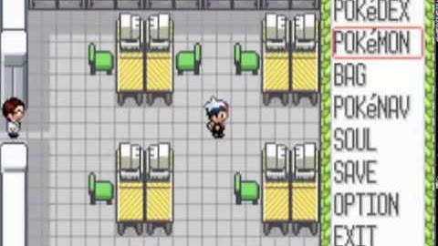 Pokemon Ruby Walkthrough Part 14-Lot