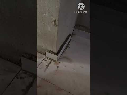 احدث طريقه لتركيب وزرة السيراميك  