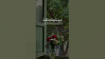 المنشاوي بصوت يفيض خشوع ا يهز القلب 