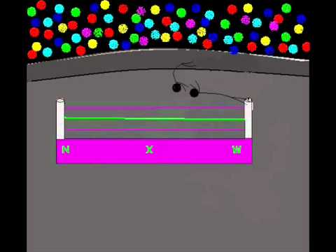 belly belly sound effect - YouTube