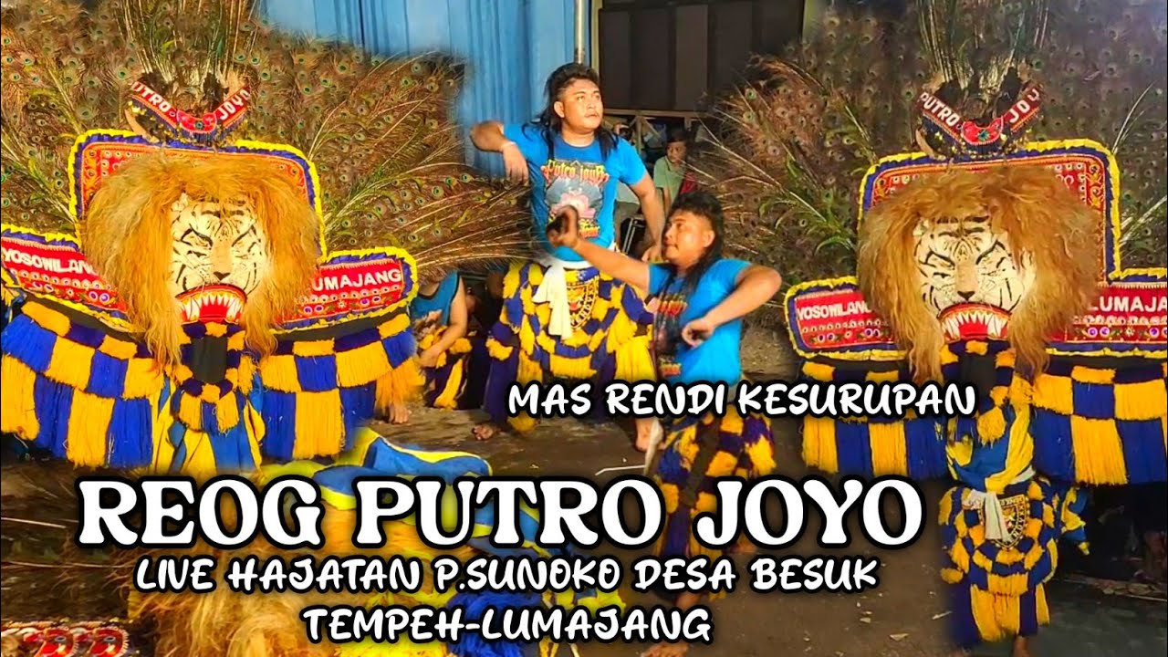 MAS RENDI SANG PEMILIK REOG PUTRO JOYO COBA BARONG REOG SAMPE GEBRES JARANAN