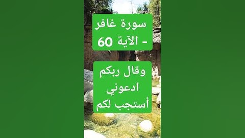 سورة غافر - الآية 60 وقال ربكم ادعوني أستجب لكم #beautiful #peace #لايك #love #تيك_توك #اكسبلور