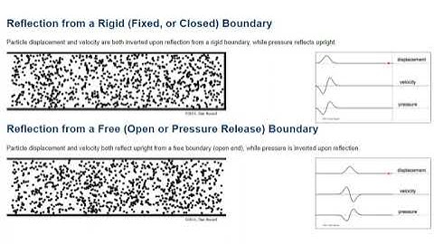 REFLECTION OF COMPRESSIONAL WAVE ANIMATION | CLASS 11 PHYSICS ANIMATION | FREE SCIENCE ANIMATIONS |