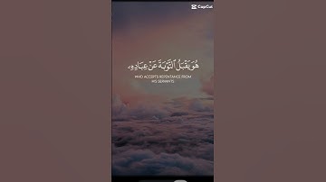 القرآن الكريم 🥺 #اكسبلور #فولو #دويتو #duet #راحة_نفسية #لايك #اكسبلورفولو