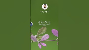 الآيات 8-9-10-11-12-13-14-15 من سورة الغاشية بصوت الشيخ فارس عباد