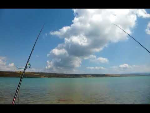 рыбалка на егорлыкском водохранилище видео рыбалка на егорлыкском водохранилище видео