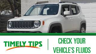 Timely Tips: Checking Vehicle Fluids