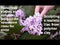 Реалистичная сирень из ХФ или полимерной глины / Sculpting a realistic lilac from polymer clay