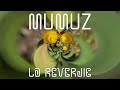 MuMuZ - La Reverdie