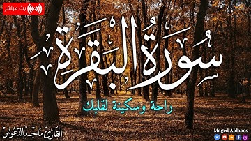 سورة البقرة من الآية (1) الى الآية (76)القارئ ماجد الدعوس surah baqarah