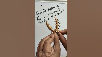 Euclid geometry axiom 4 trick