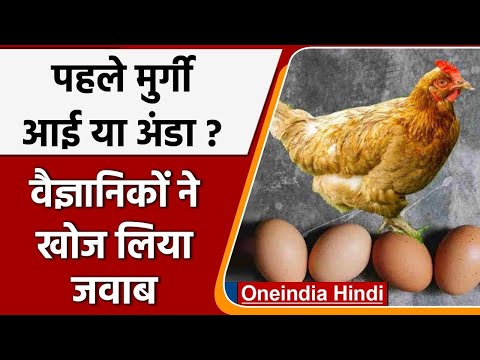 वीडियो: कार के लिए CASCO की गणना स्वयं कैसे करें?