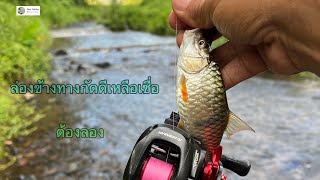 Easy fishing ล่องเล็กๆ ข้างทางก็บรรเทิง