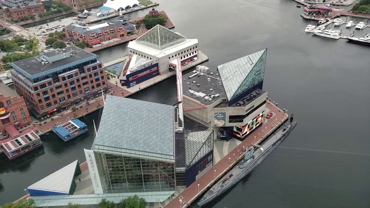 Top of the World Observation Tower VIDEO TOUR (Baltimore, Maryland