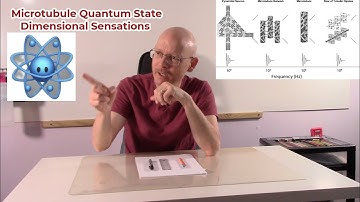EnigmaCon Pt 6: Brain Types, Microtubule Quantum State and Dimensional Sensations