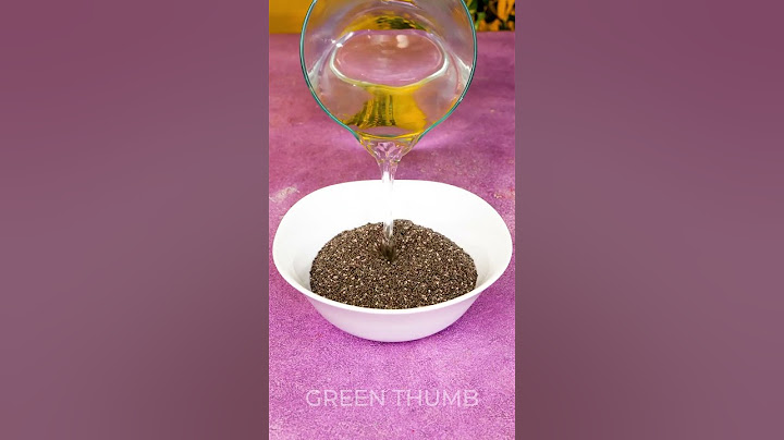 My indoor garden is better than yours because of these simple techniques