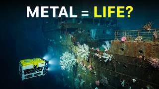 Why Deep Sea Life Gets Weirder Around Metal