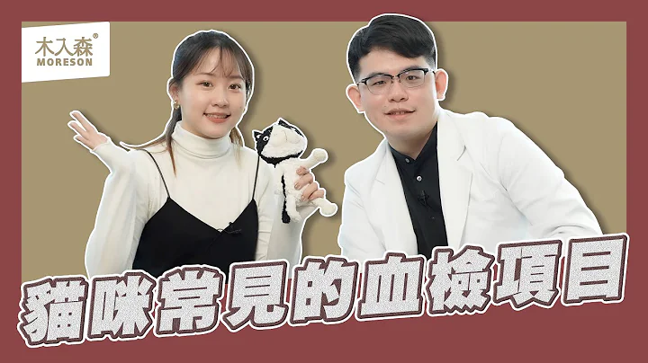 【 喵喵診療室 】一次搞懂貓咪血液檢查🐱！三大血檢項目報你知～(片尾抽獎🔥) - 天天要聞