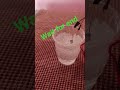 mini drone motor under water work check