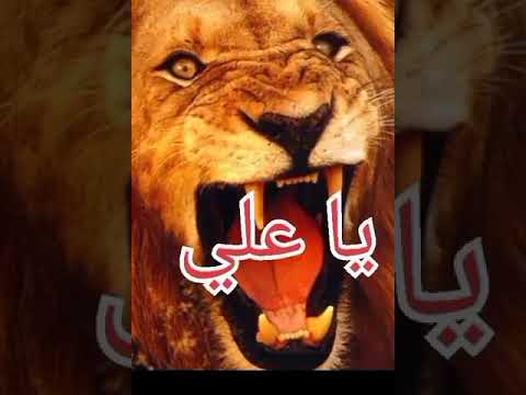 نغمة موبايل حديثة وحصرية يا علي 23 