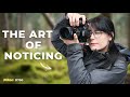 The art of noticing  woodland photography with a nikon d750