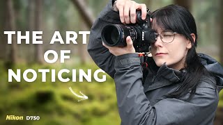 The Art of Noticing  Woodland Photography with a Nikon D750