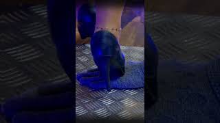 How I Train My Fingers With Style