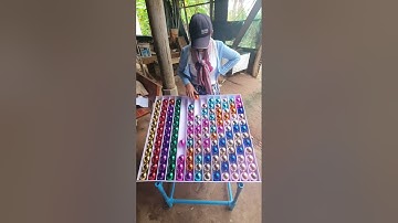 Color Bound IQ Logical Puzzles for the Gifted