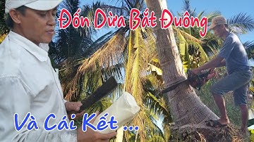 Đốn Dừa Bắt Đuông Và Cái Kết#TPtv