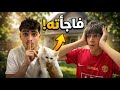 جبت قطة جديدة يارب ما يتكرر نفس السيناريو 