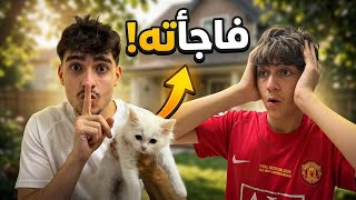 جبت قطة جديدة 🐈😍 .. ( يارب ما يتكرر نفس السيناريو )