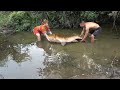 Primitive life: Detect a big fish in the lake - Rescue big fish to another place