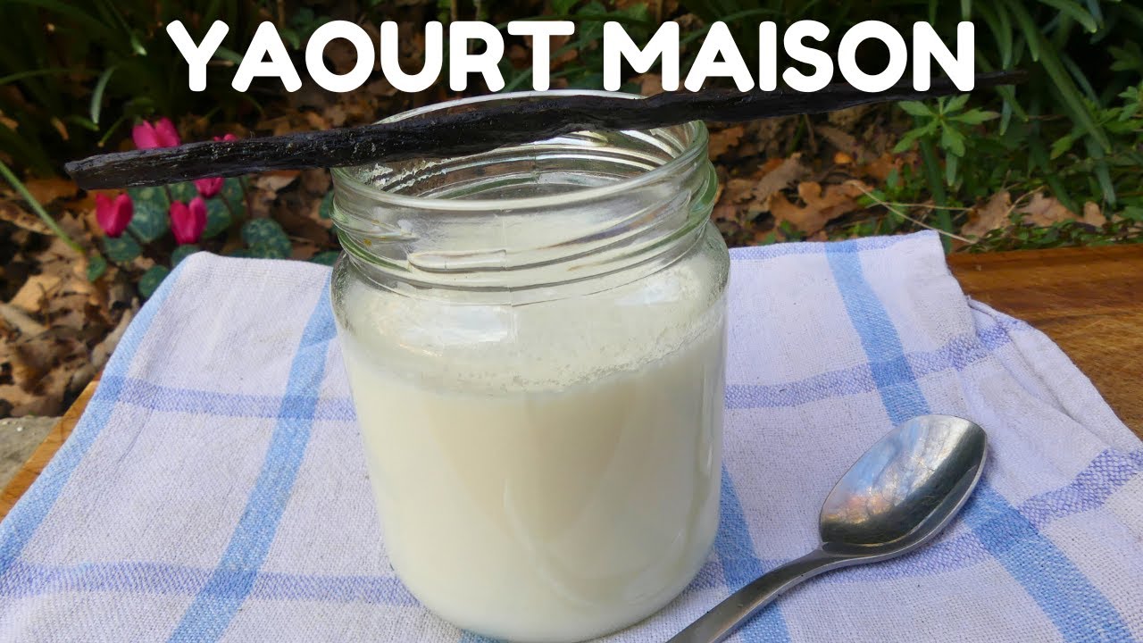 Faire du Yaourt Maison à la Vanille : recette facile avec Yaourtière