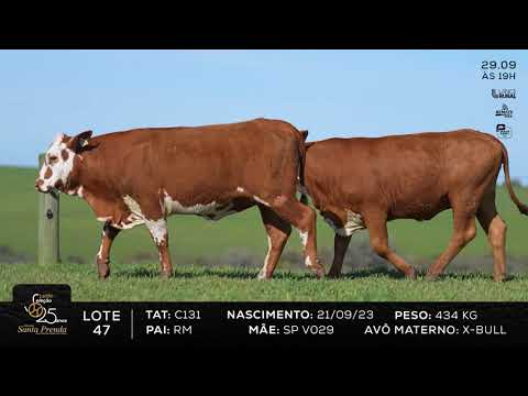 LOTE 047