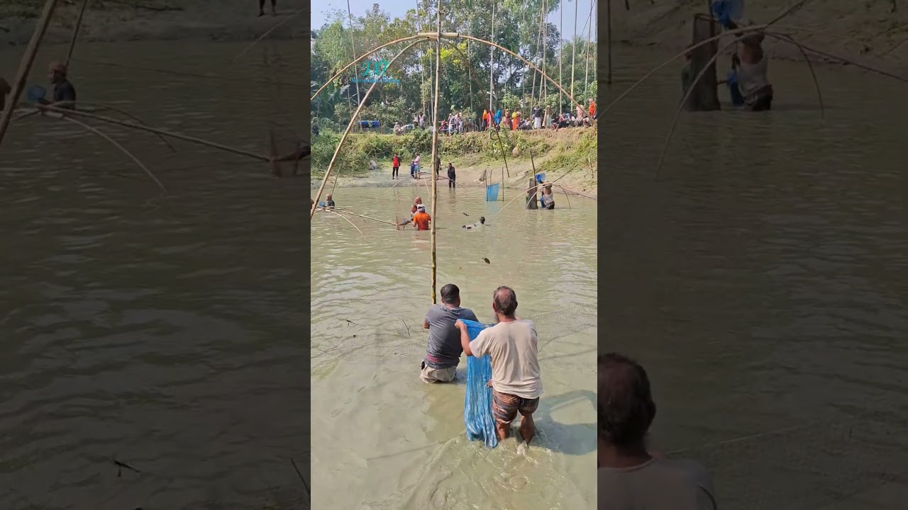 Amazing Net Fish video 