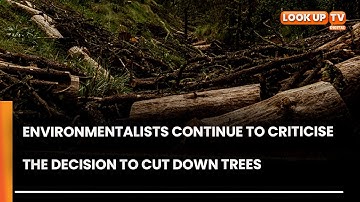 Environmentalists Continue to Criticize the Decision to Cut Down Trees