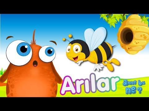 Arılar Nasıl Bal Yapar? | Okul Öncesi Eğitici Animasyon | Anne Bu Ne?