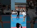 PAN ASIA 2017