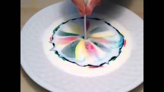 Try to Combine Milk, Food Coloring and Dish Soap