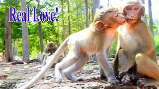 REAL LOVE!! BABY TOBAIS SO SHY WHEN BABY ALBA KISSES HIM