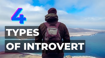 Introvert Types: Social, Thinking, Anxious, Restrained