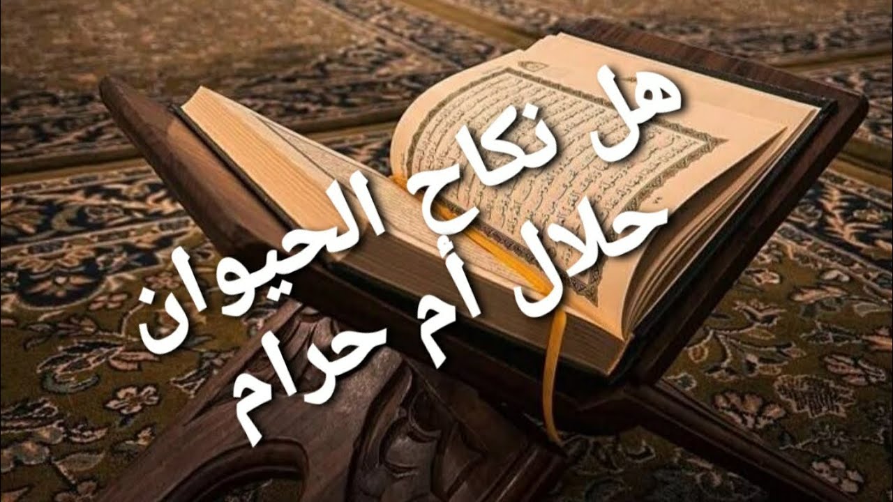 حكم نكاح البهائم في الاسلام