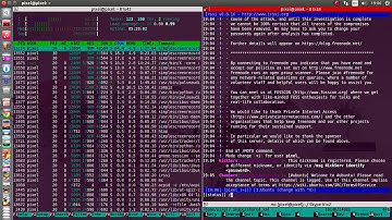 Terminator, multiple terminals in one window - linux