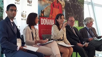 HURRA – 2017 NÅDDE VI VIKTIGA SEGRAR!