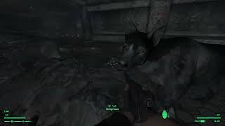 TTW: Fallout 3 - Part 22 - Slightly Grilled