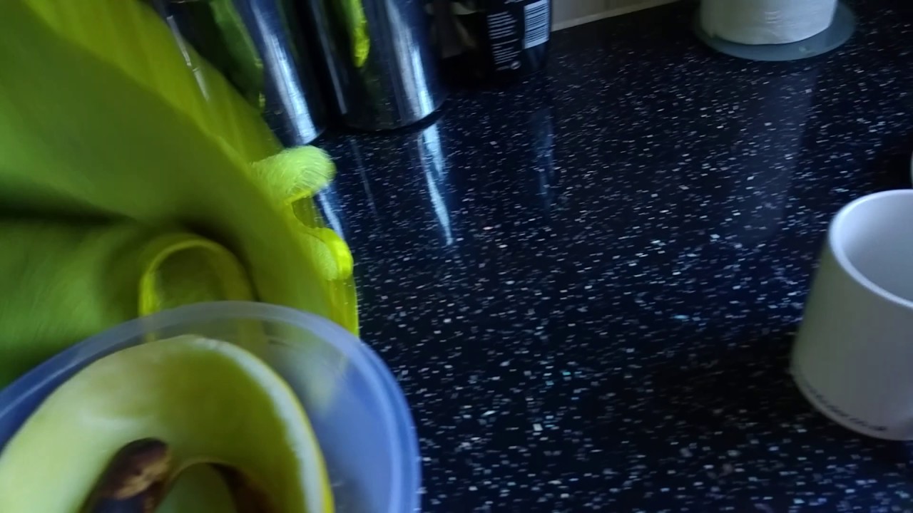 Ultimate fruit fly trap YouTube